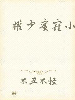 权少蜜宠小娇妻