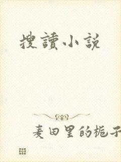 搜读小说