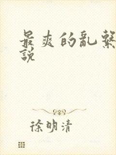 最爽的乱系列小说