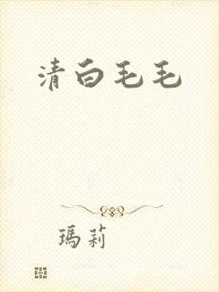 清白毛毛