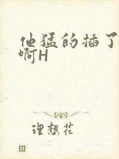 他猛的插了进去啊H