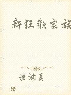 新狂欢家族小说