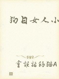 狗日女人小说