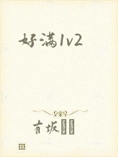 好满1v2