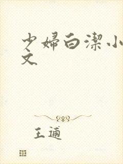 少妇白洁小说全文