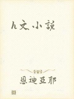 h文小说
