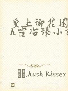 皇上御花园hlh霍冶臻小说