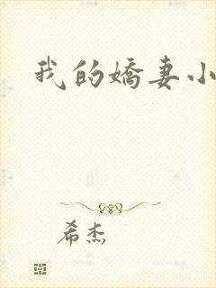 我的娇妻小说