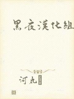 黑夜汉化组
