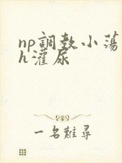 np调教小荡货h灌尿