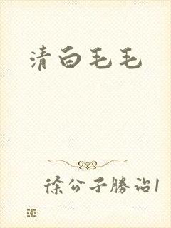 清白毛毛