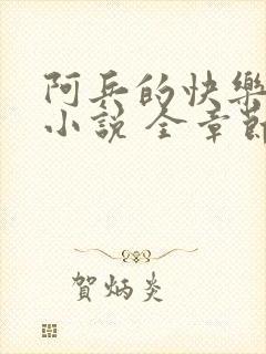 阿兵的快乐生活小说 全章节阅读免费