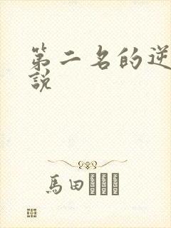 第二名的逆袭小说