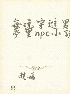 每晚穿进男神的梦里npc小说