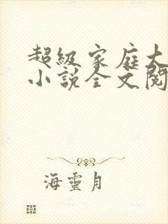 超级家庭大杂烩小说全文阅读