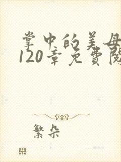 掌中的美母版主120章免费阅读