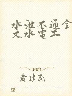 水泄不通金银原文水电工