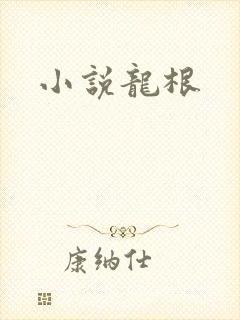 小说龙根