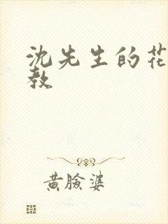 沈先生的花式调教