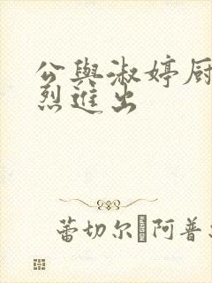 公与淑婷厨房猛烈进出