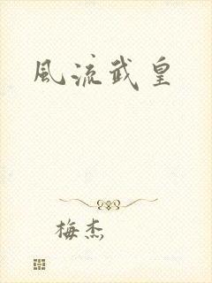 风流武皇