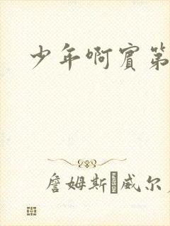 少年啊宾第二部