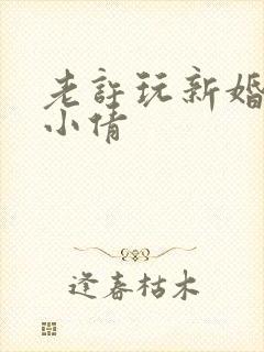 老许玩新婚少妇小倩