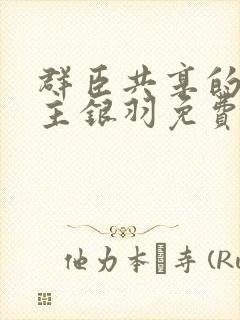 群臣共享的小公主银羽免费阅读