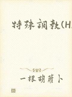 特殊调教(H)