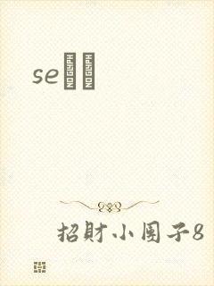 seС˵