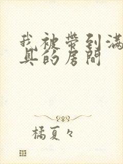 我被带到满是玩具的房间