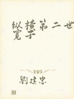 纵横第二世界 宽子