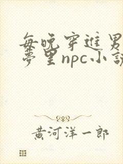 每晚穿进男神的梦里npc小说