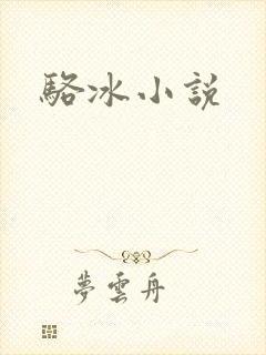 骆冰小说