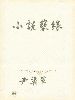 小说孽缘