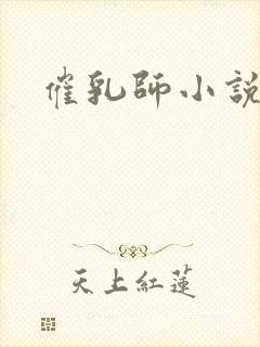 催乳师小说