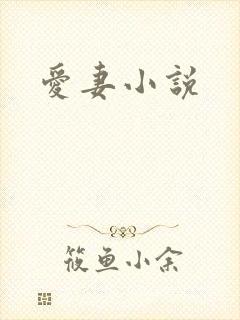 爱妻小说