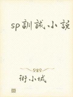 sp训诫小说
