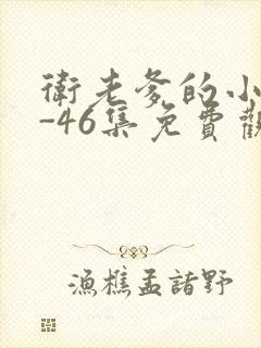 卫老爹的小船1-46集免费观看