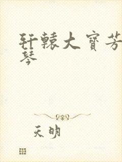 轩辕大宝芳菲雅琴