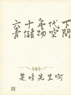 六十年代下乡知青储物空间