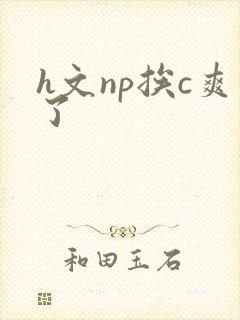 h文np挨c爽了