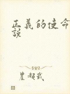 正义的使命 小说