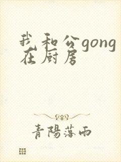 我和公gong在厨房