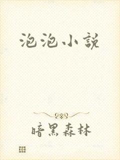 泡泡小说
