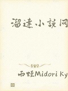 溜达小说网