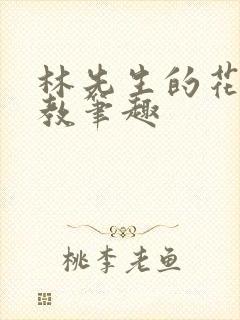 林先生的花式管教笔趣