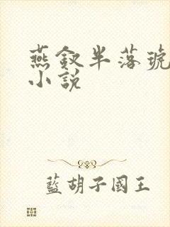 燕钗半落琥珀糖小说