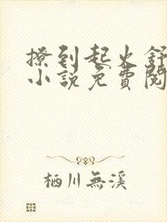 撩到起火舒漾的小说免费阅读全文