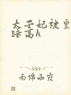 太子妃被皇上强睡高h